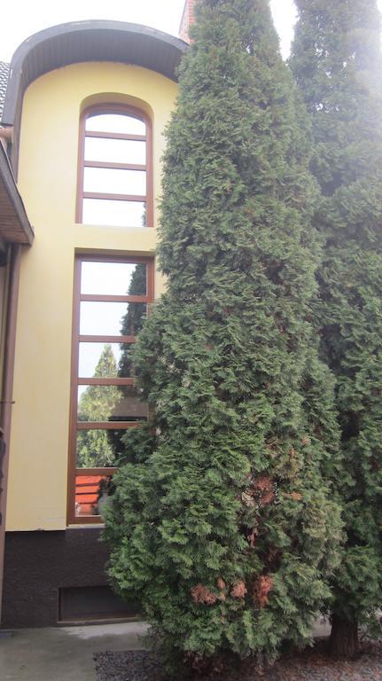 Hotel Emi Vendeghaz Balatonszárszó Exterior foto